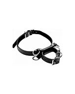 Sistema de restricciones para rodillas