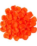 Pétalos Naranja Brillantes