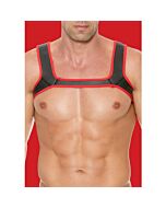 Arnés Rojo Puppy Love