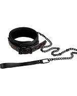 Collar Púrpura Blaze - Sex Shop