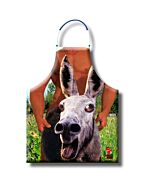 Burrosexy