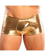 Male power boxer heavy metal dorado