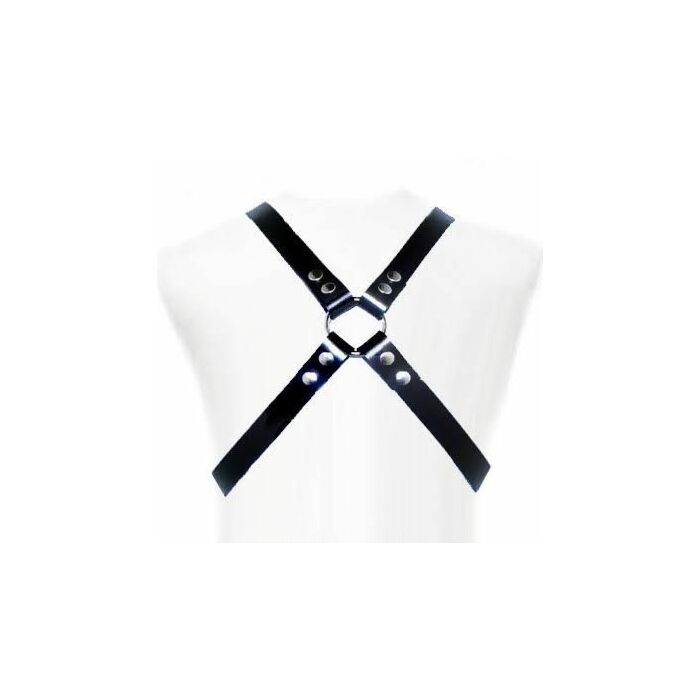 Leather body basic harness