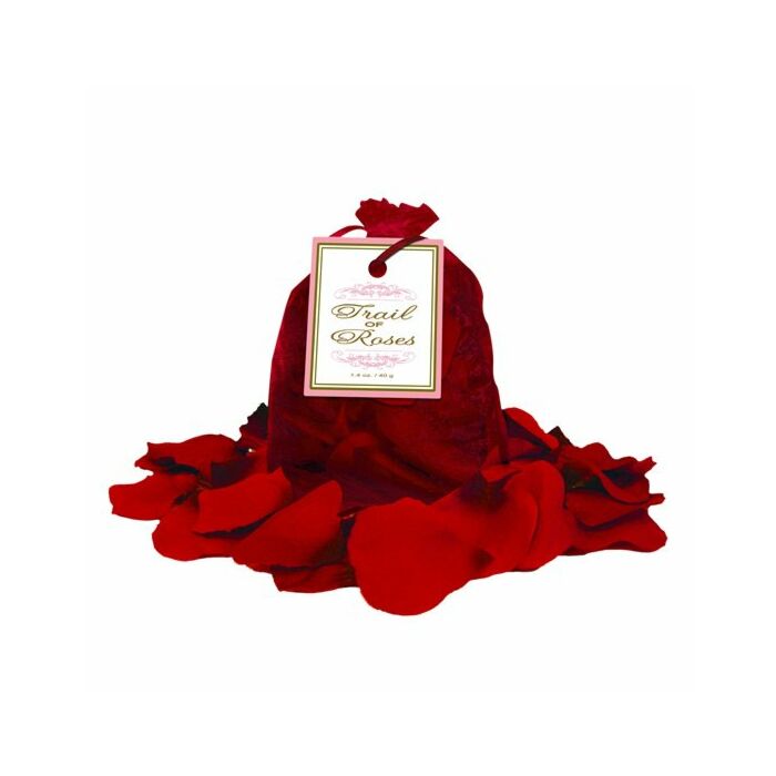 Trail of roses petalos rojos
