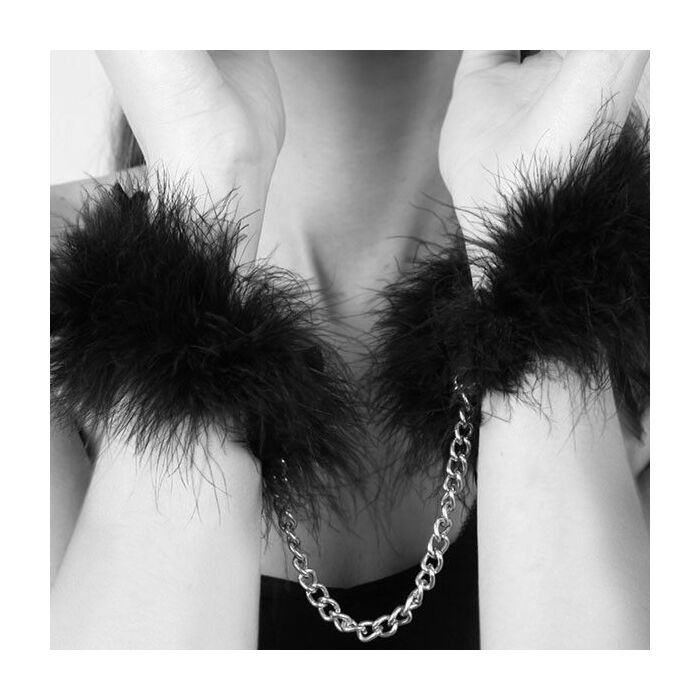 Plumas de Seducción