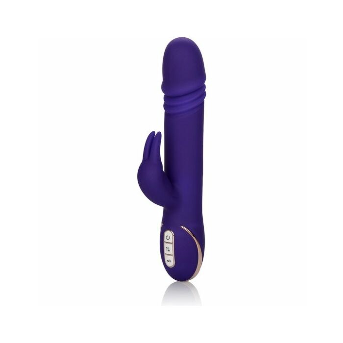 Jack rabbit signature morado