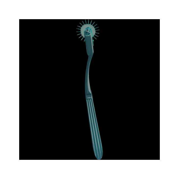 Entice rueda de la pasion