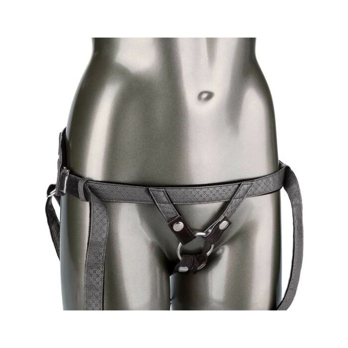 The regal princess - gris