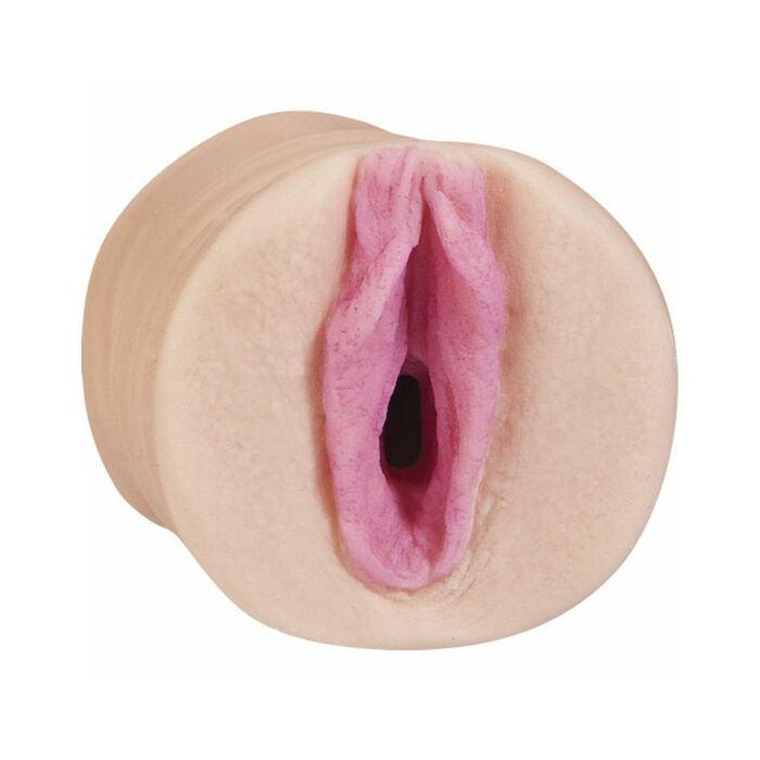 All star porn stars mini vagina faye reagan