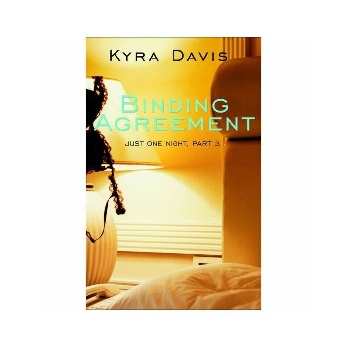 Contrato blindado solo una noche 3