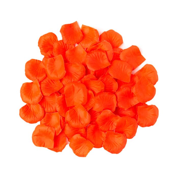 Pétalos Naranja Brillantes