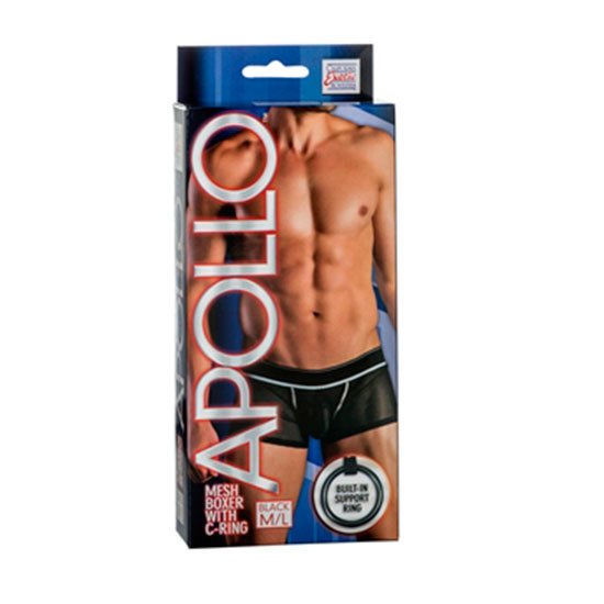Apollo boxer con anillo
