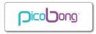 PicoBong